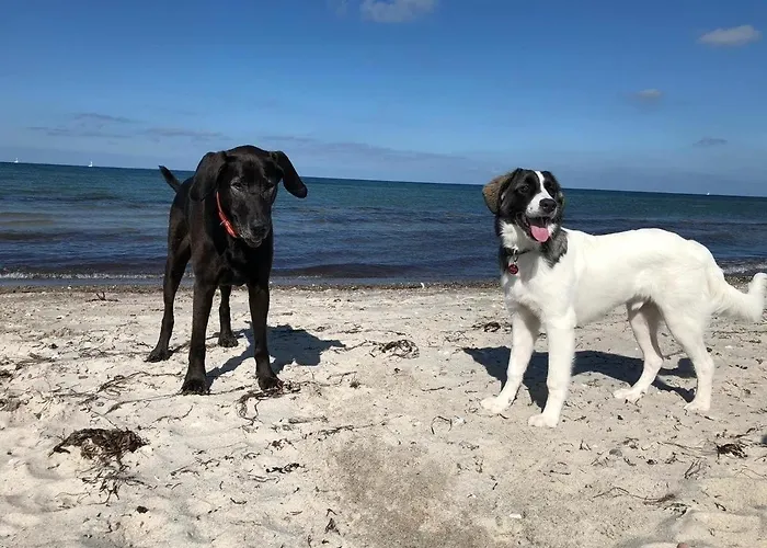 Moewennest * Grömitz